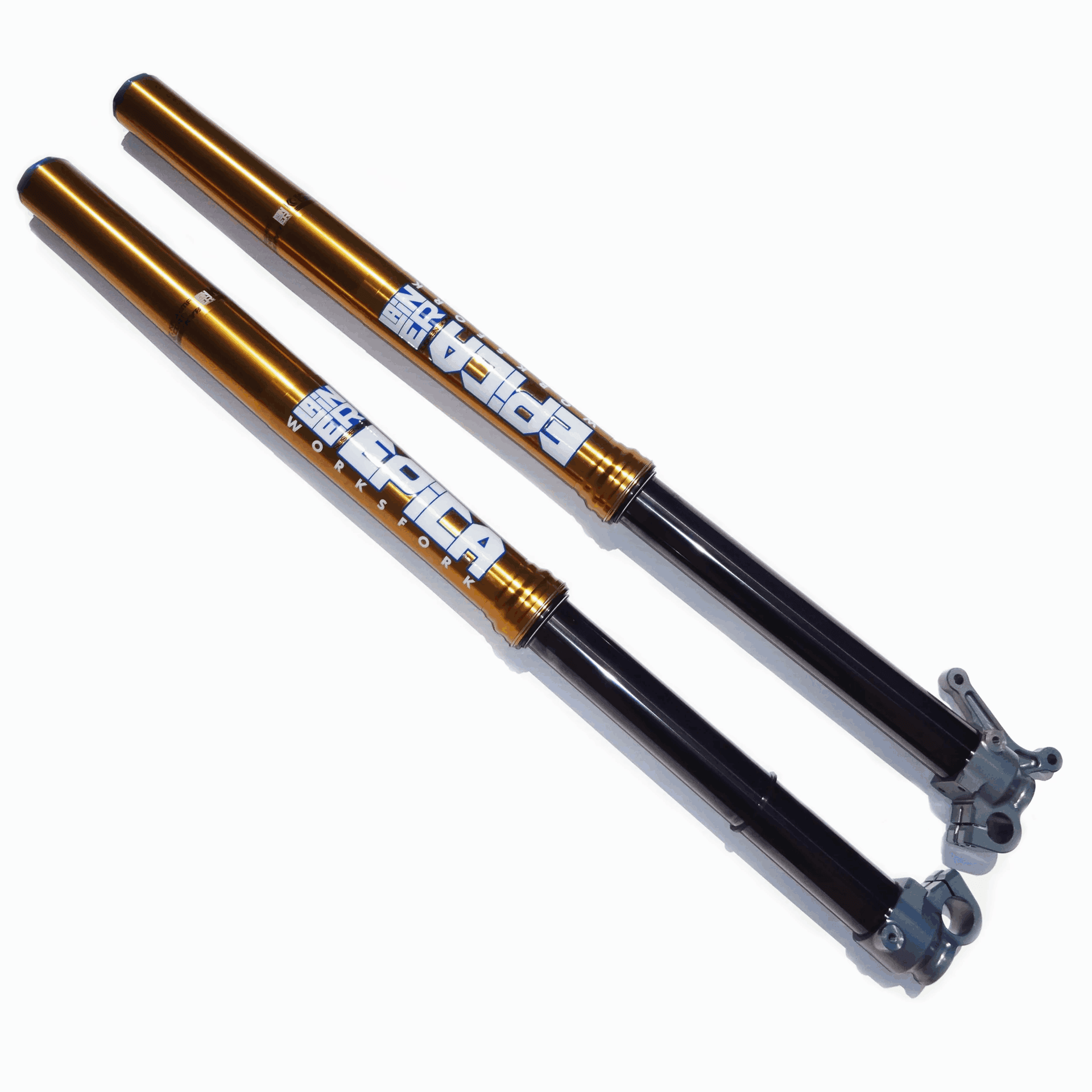 GABEL - LAINER EPICA 48